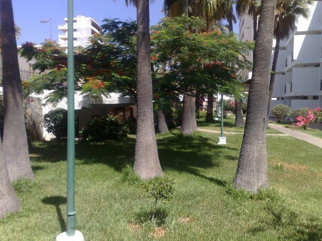 Apartamentos El Palmar ปลายา เดล อิงเกลส ภายนอก รูปภาพ